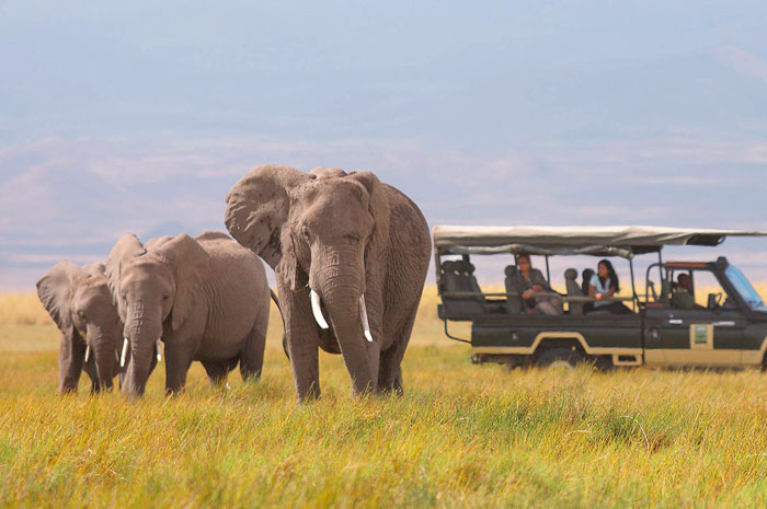 Sky Safari no Quênia