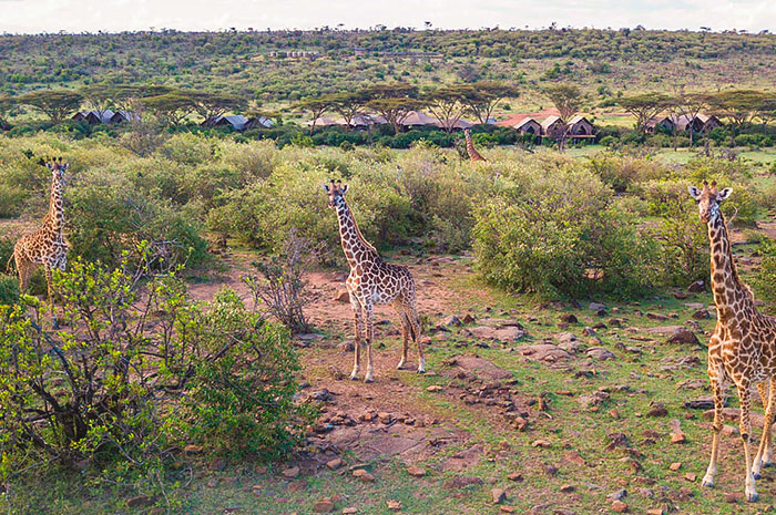 Quênia by Great Plains Conservation